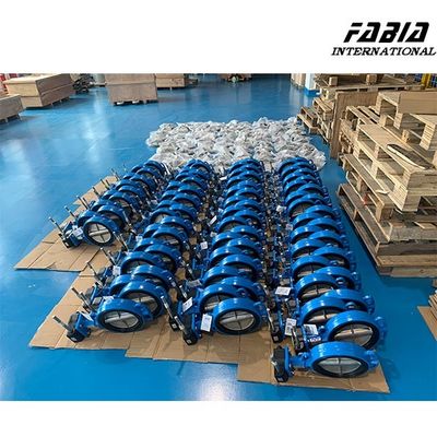 8 ίντσες Worm Gear πεταλούδα βαλβίδα Αξιόπιστη σφράγιση για την επεξεργασία νερού Βιομηχανία φυσικού αερίου
